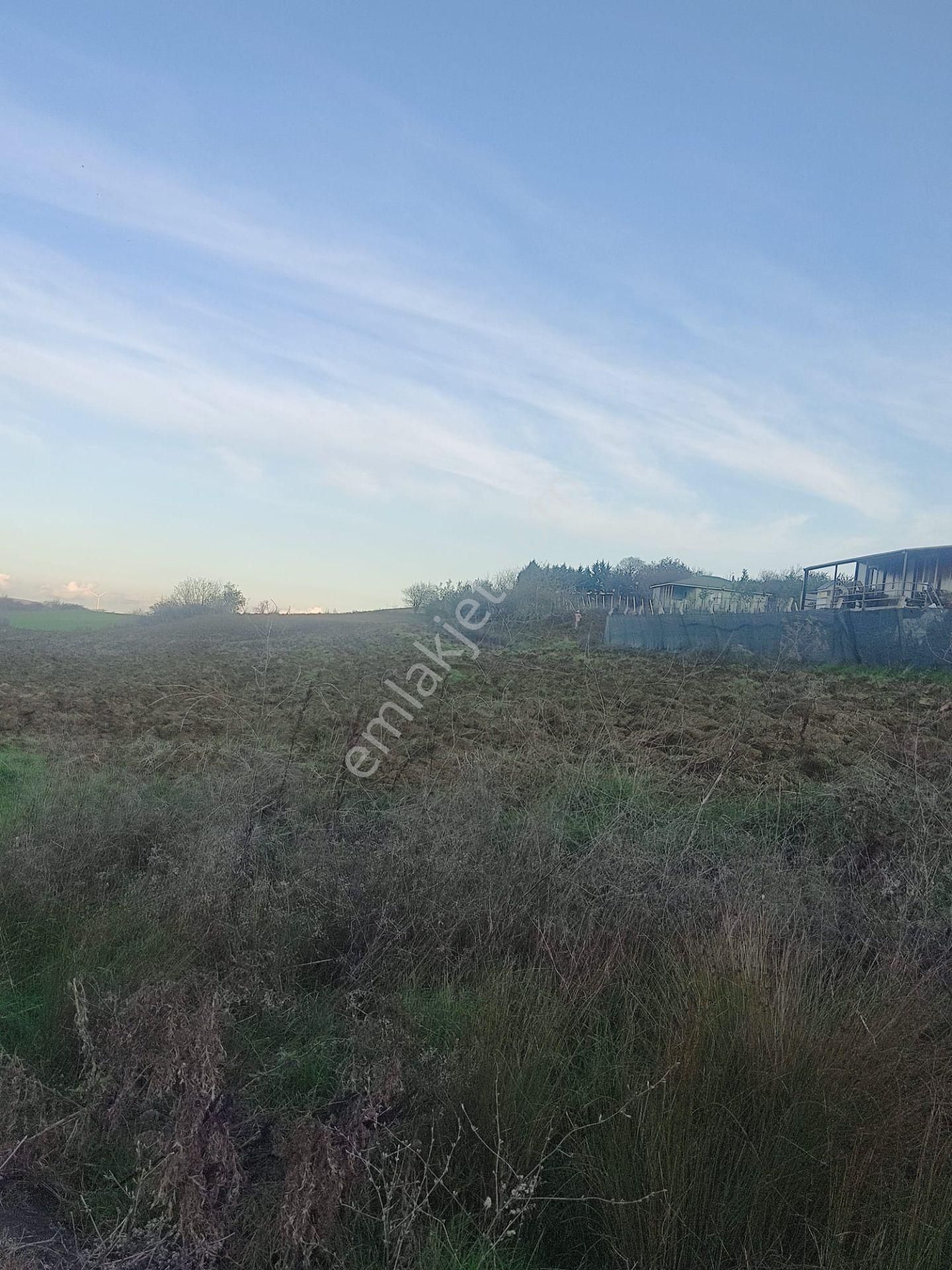 Silivri Akören De 7500 M2 Satlık Köye Yakın Tarla - Görsel 9