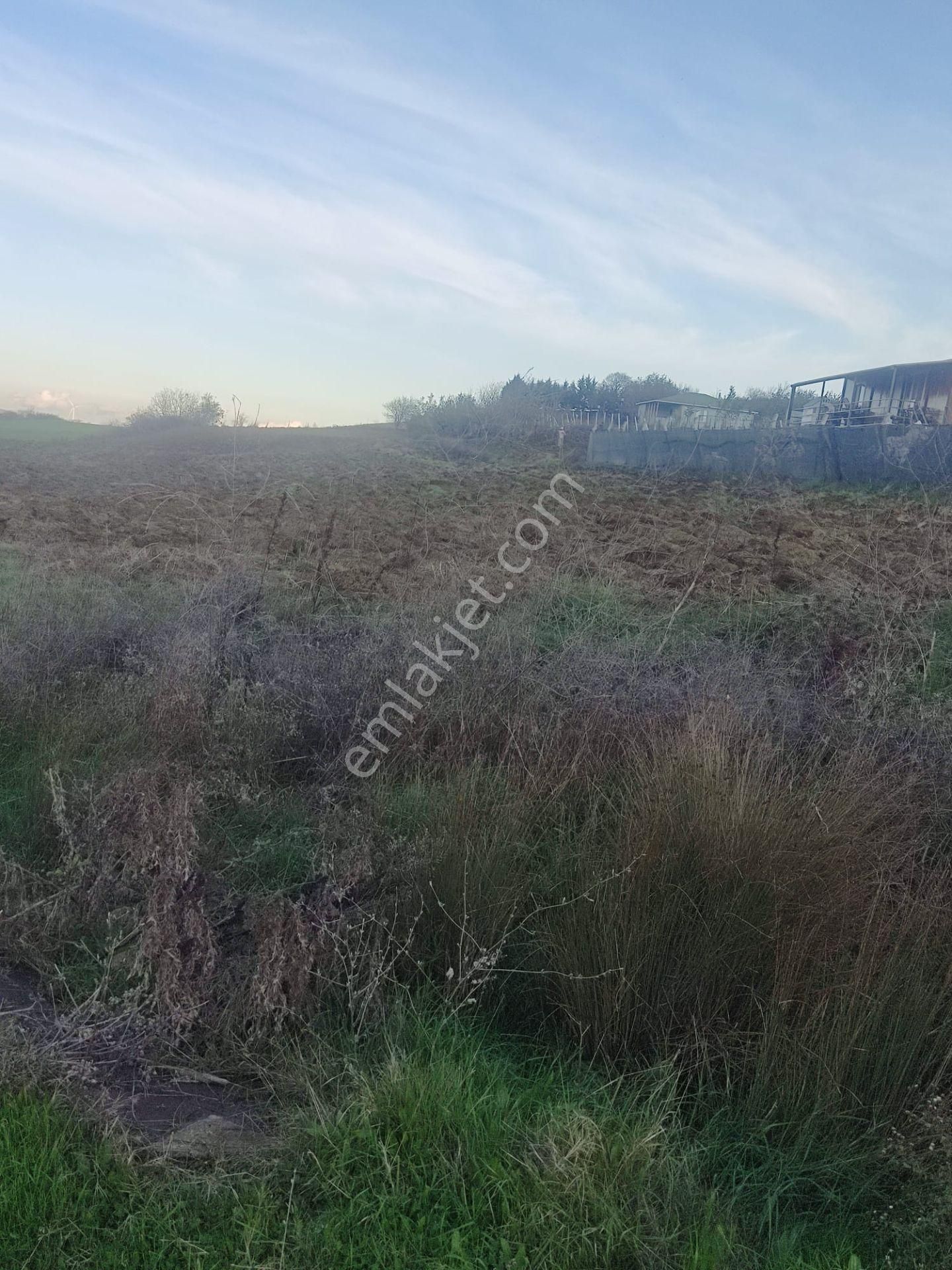 Silivri Akören De 7500 M2 Satlık Köye Yakın Tarla - Görsel 7