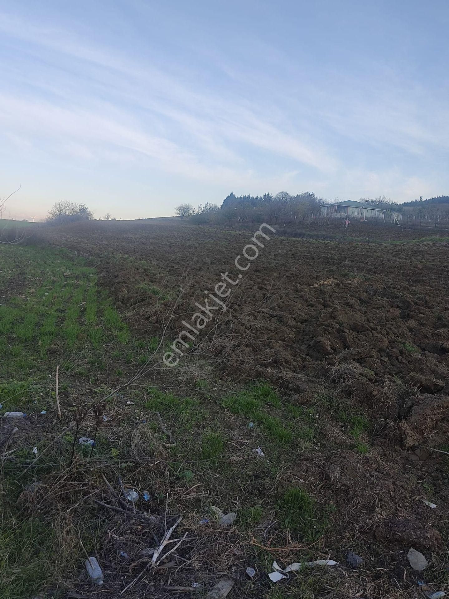 Silivri Akören De 7500 M2 Satlık Köye Yakın Tarla - Görsel 4