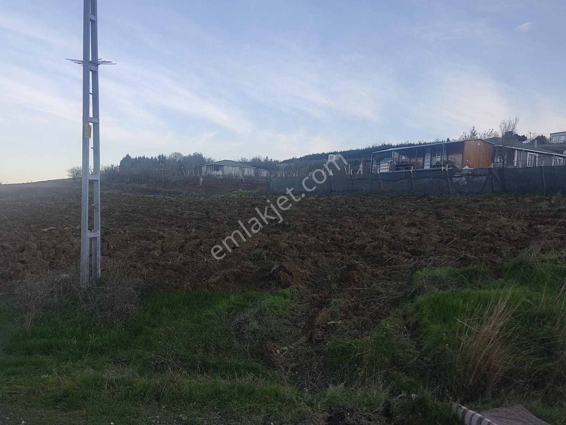 Silivri Akören De 7500 M2 Satlık Köye Yakın Tarla - Görsel 8