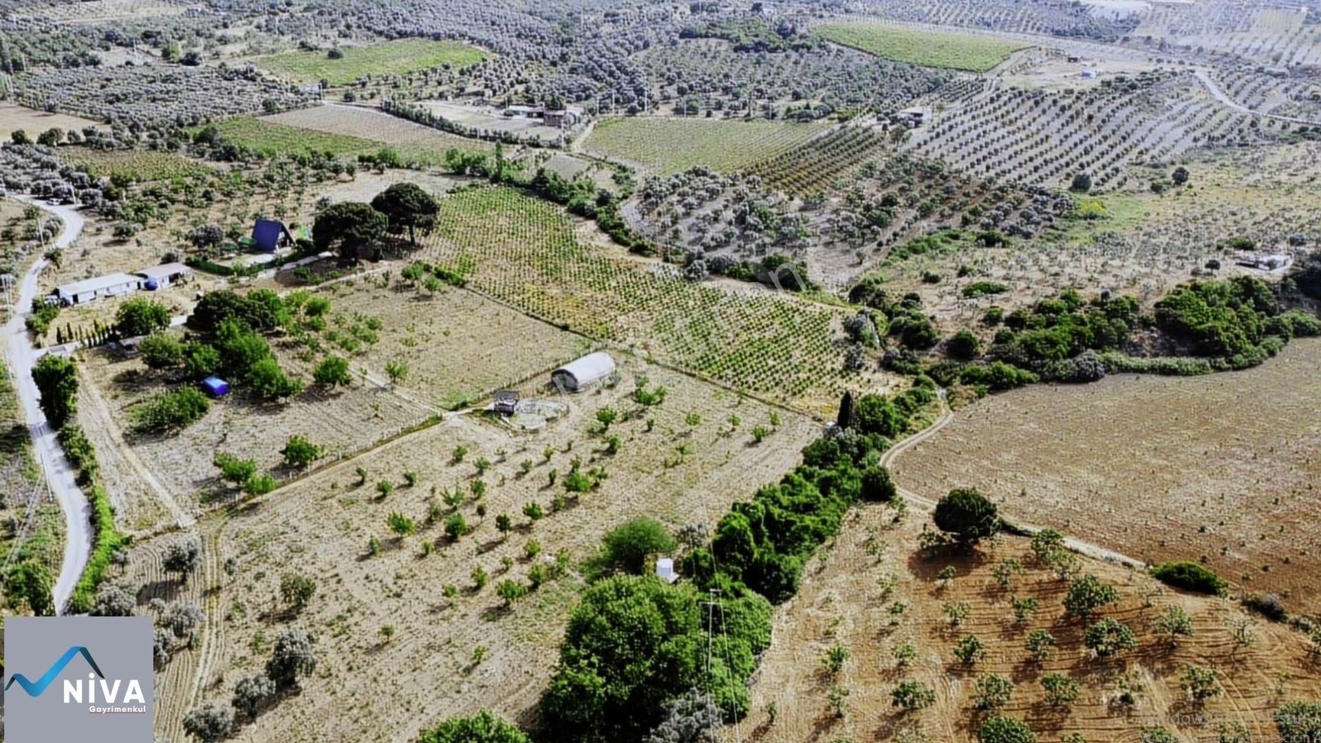 Acil Satılık 11.000 M2 Kelepir Bağ & Bahçe - Görsel 5
