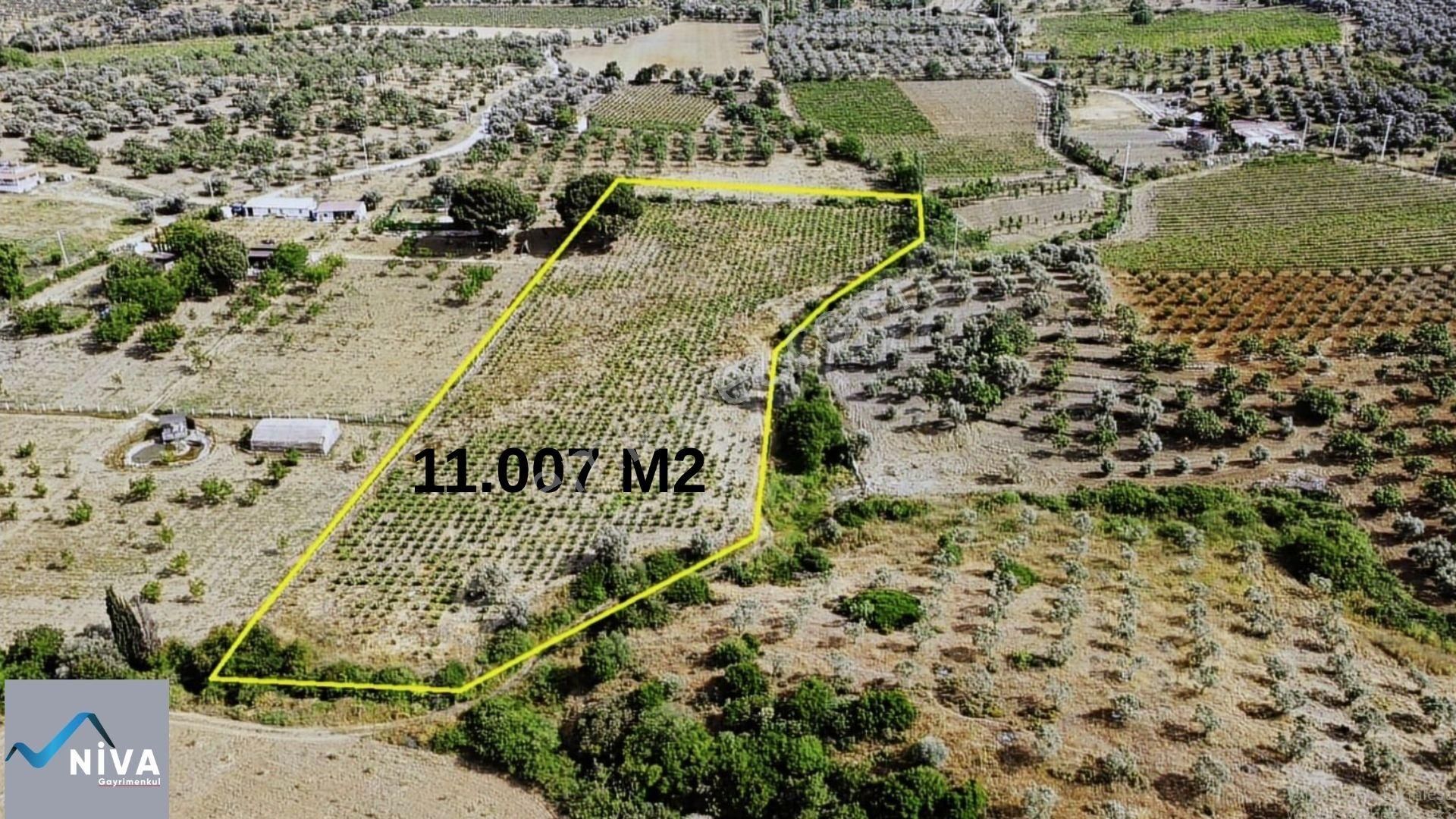 Acil Satılık 11.000 M2 Kelepir Bağ & Bahçe - Görsel 3