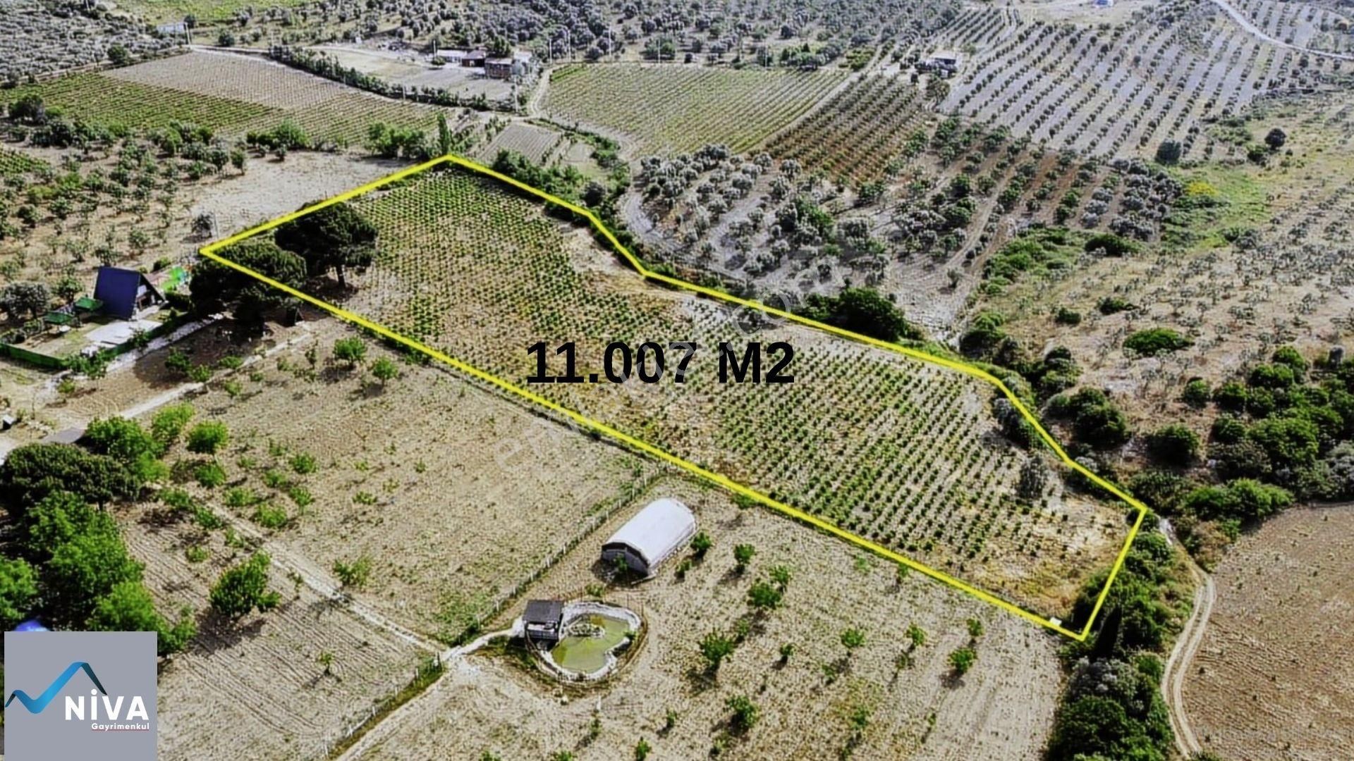 Acil Satılık 11.000 M2 Kelepir Bağ & Bahçe - Görsel 4
