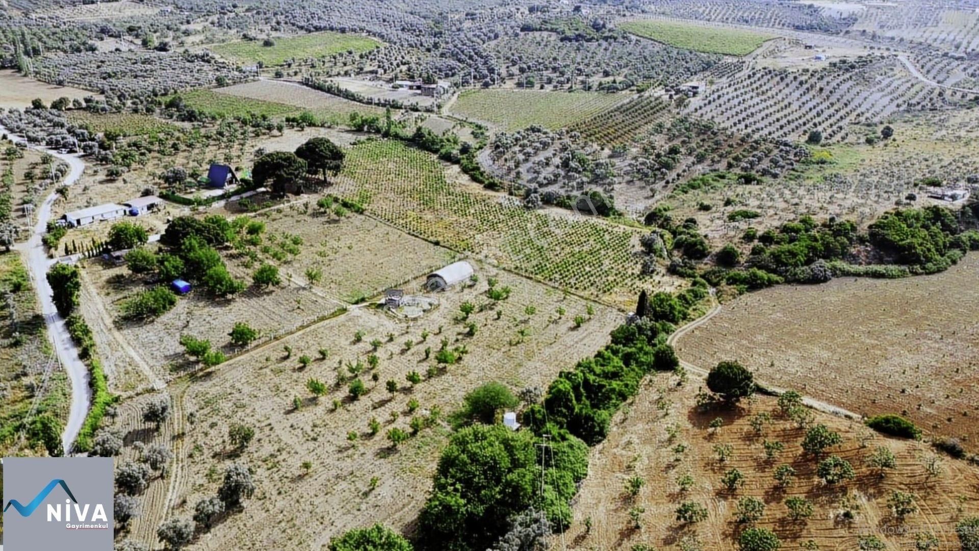 Acil Satılık 11.000 M2 Kelepir Bağ & Bahçe - Görsel 2