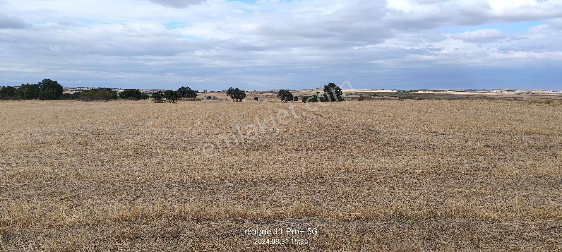 16.378m2 Tek Parça Tarla - Görsel 3