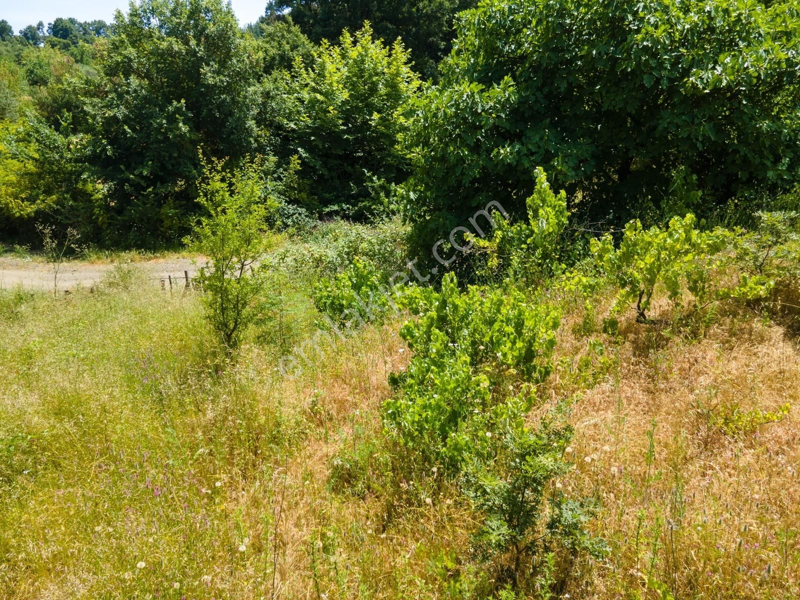 Yenice'nin Yeşil Ve Gölete Yakın Köyünde 324 M² İmarlı Son Arsa - Görsel 19