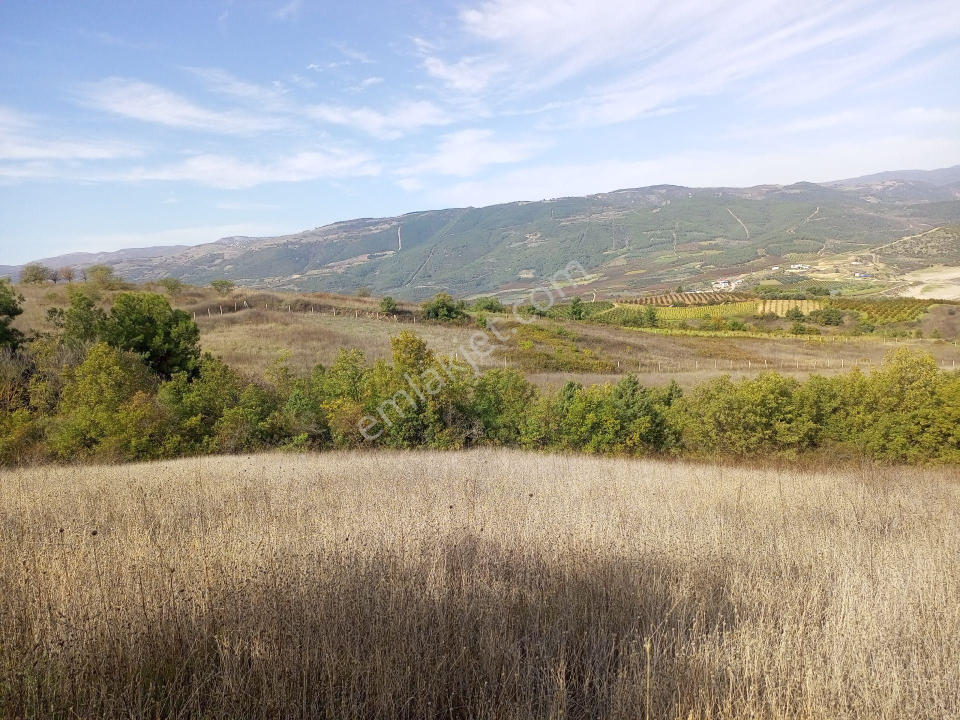 Afyonkarahisar Sultandağı Yenikarabag Köyü 0 / 1556 / 6400 M2tarla - Görsel 10