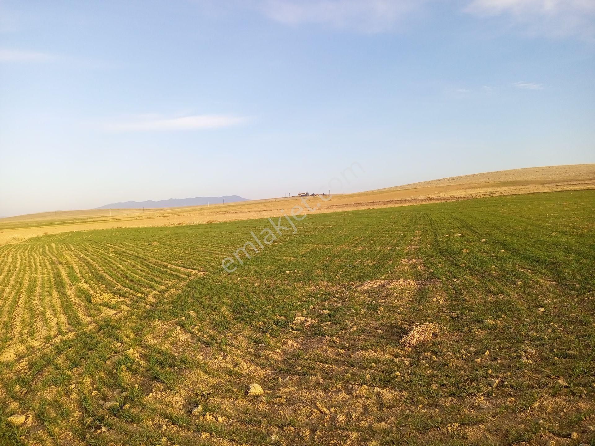 Afyonkarahisar Sultandağı Yenikarabag Köyü 0 / 1556 / 6400 M2tarla - Görsel 31