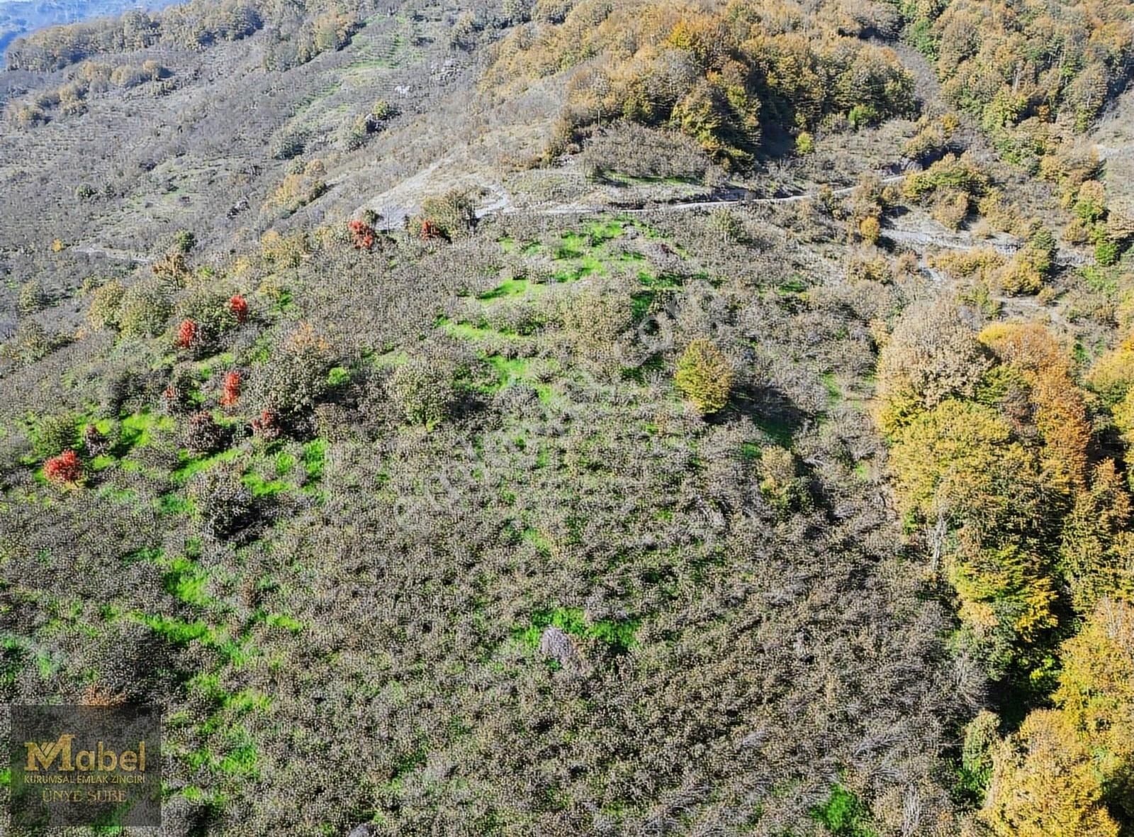 Mabel'den Müstakil Tapulu 6300m2 Satılık Fırsat Tarla - Görsel 2