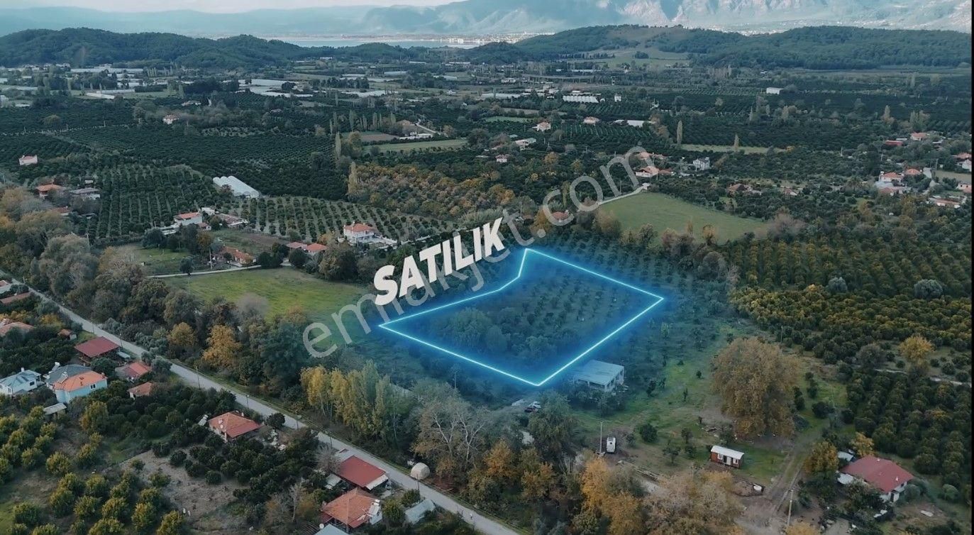 Tuana Gayrimenkulden Eski Köyceğiz'de 350m Lik Parseller - Görsel 4