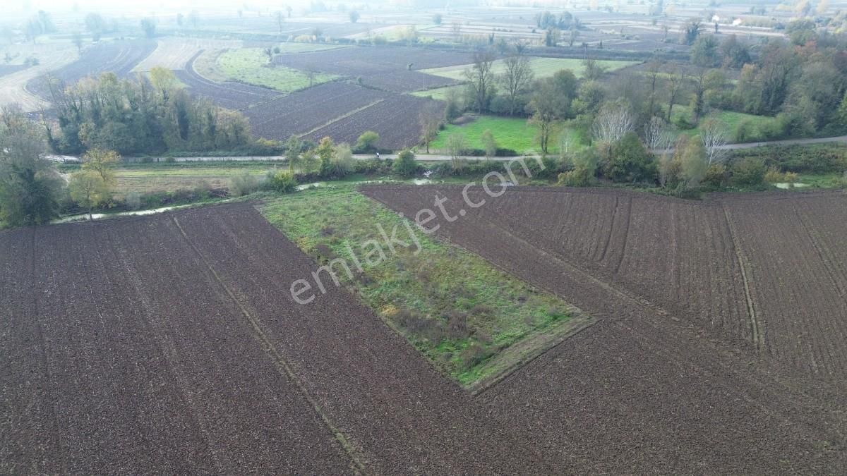 Hendek Sukenarında Satılık 1.865 M² Tarla Kanal Cepheli - Görsel 5