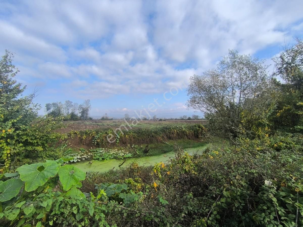 Hendek Sukenarında Satılık 1.865 M² Tarla Kanal Cepheli - Görsel 7