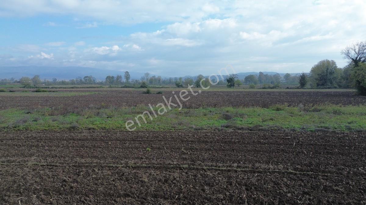 Hendek Sukenarında Satılık 1.865 M² Tarla Kanal Cepheli - Görsel 9