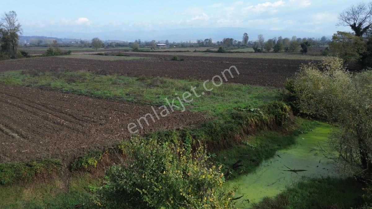 Hendek Sukenarında Satılık 1.865 M² Tarla Kanal Cepheli - Görsel 3