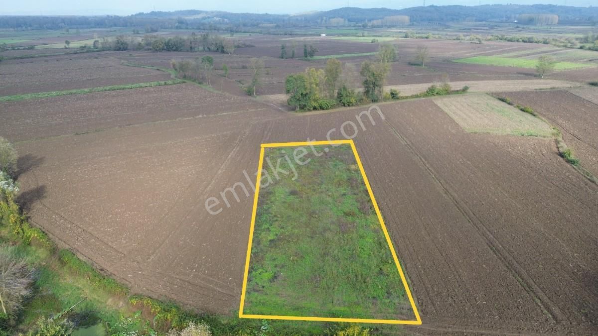 Hendek Sukenarında Satılık 1.865 M² Tarla Kanal Cepheli - Görsel 2