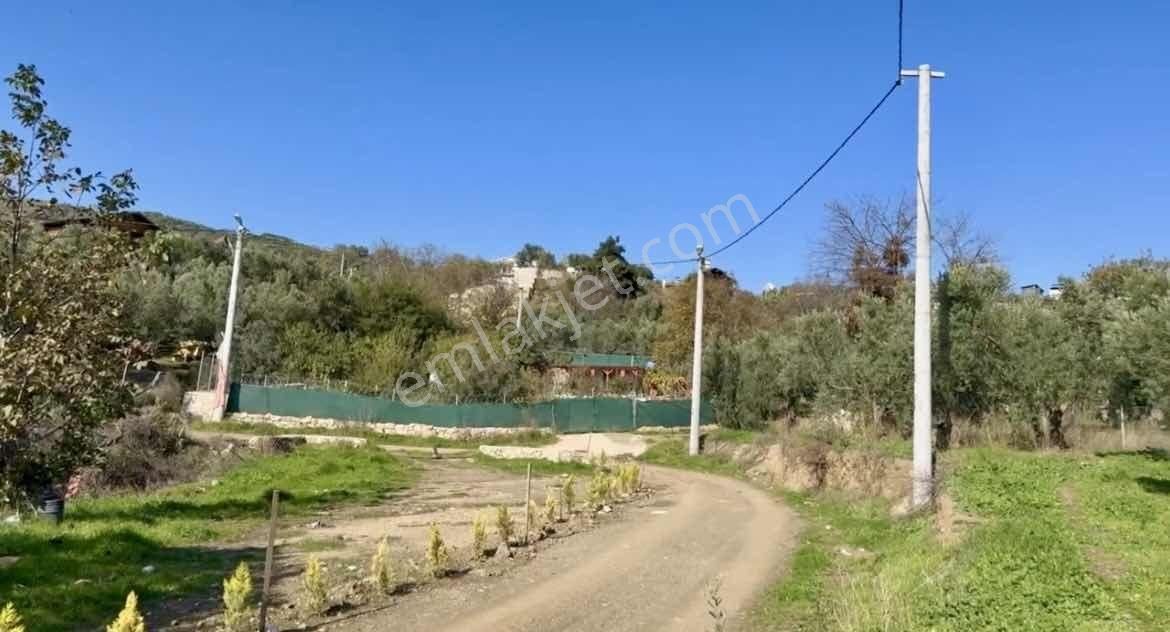 Mudanya Çepnide Merkeze Yakın Satılık Zeytinlik - Görsel 14