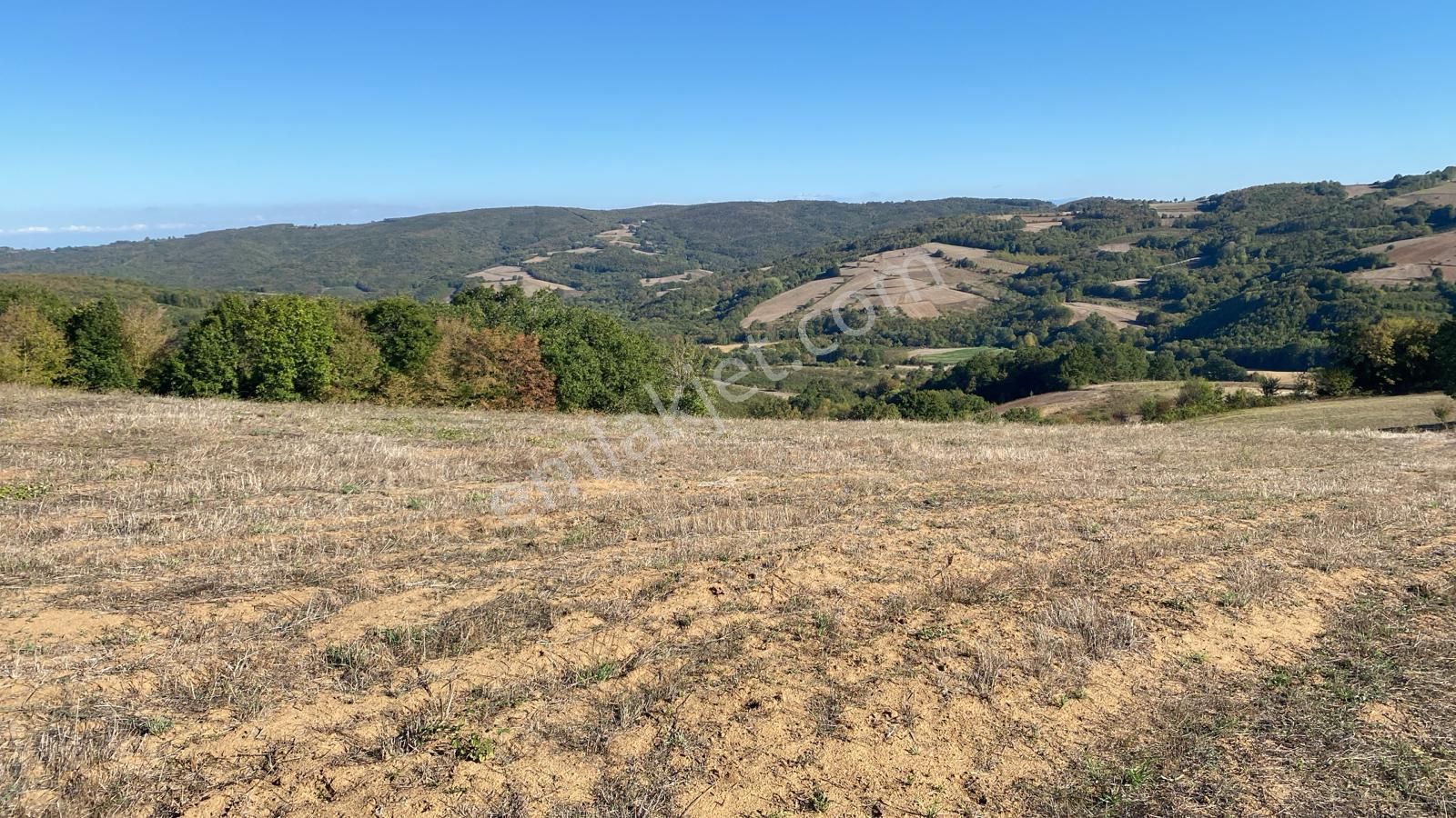 Kandıra Osb Ye Yakın Kupon Tarla