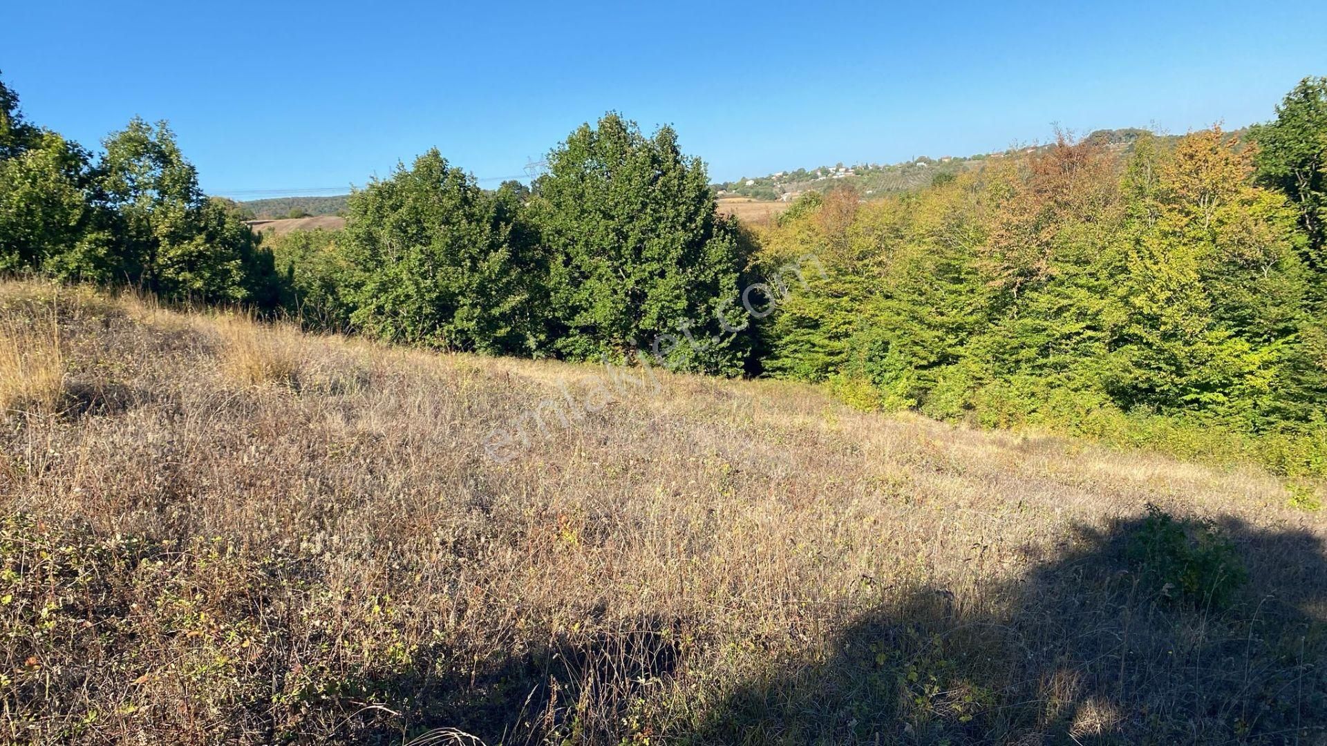 Kandıra Osb Ye Yakın Kupon Tarla - Görsel 4