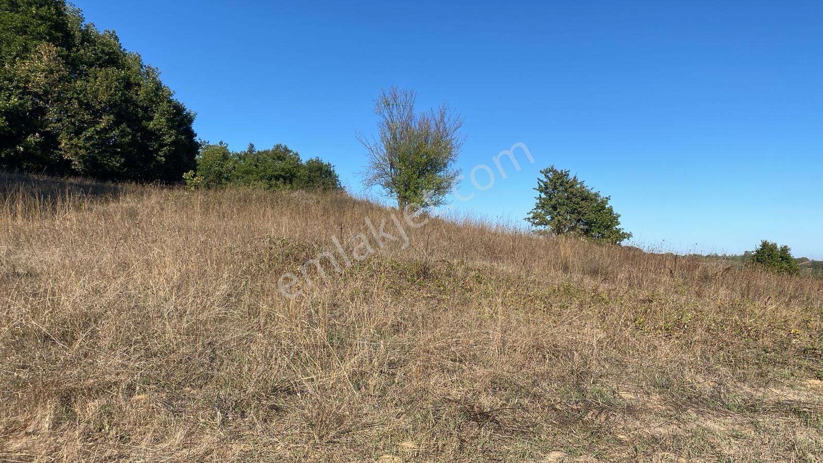 Kandıra Osb Ye Yakın Kupon Tarla - Görsel 6