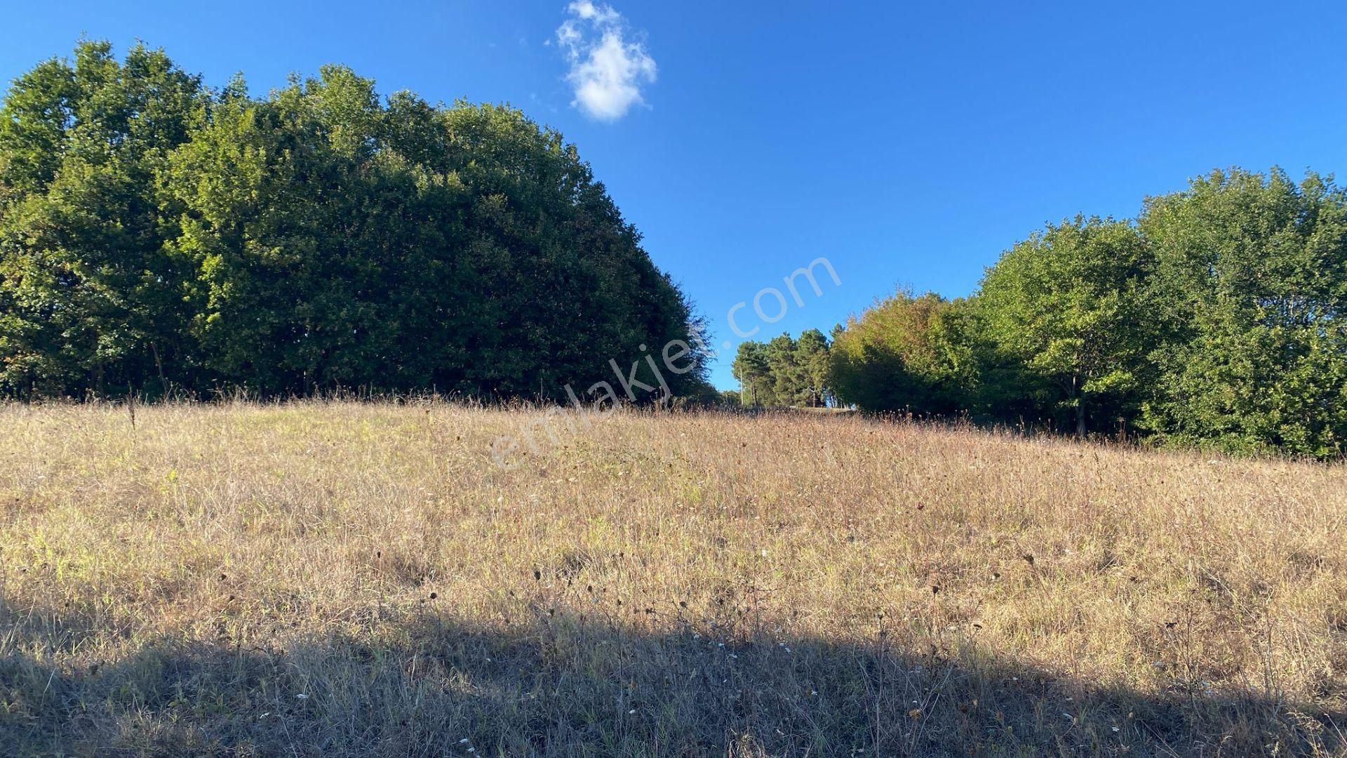 Kandıra Osb Ye Yakın Kupon Tarla - Görsel 5