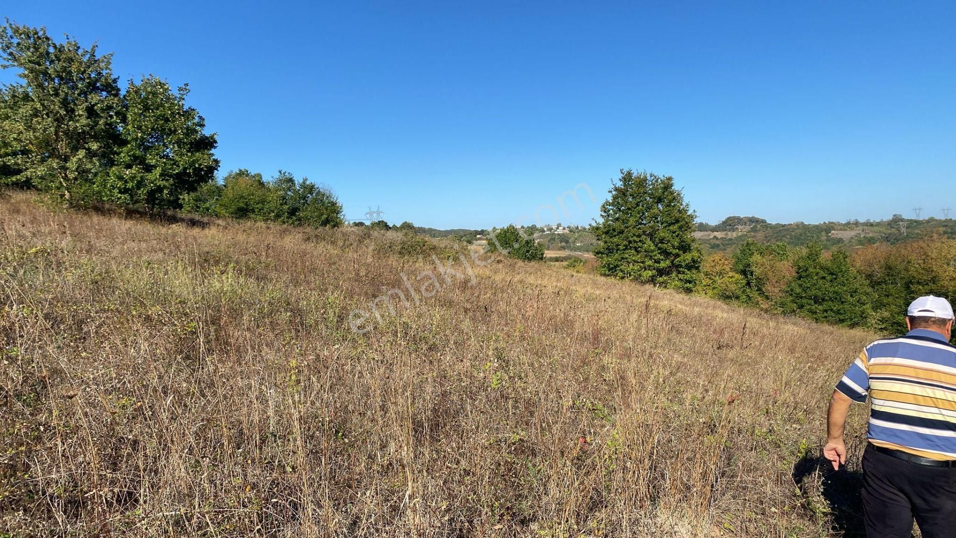 Kandıra Osb Ye Yakın Kupon Tarla - Görsel 2