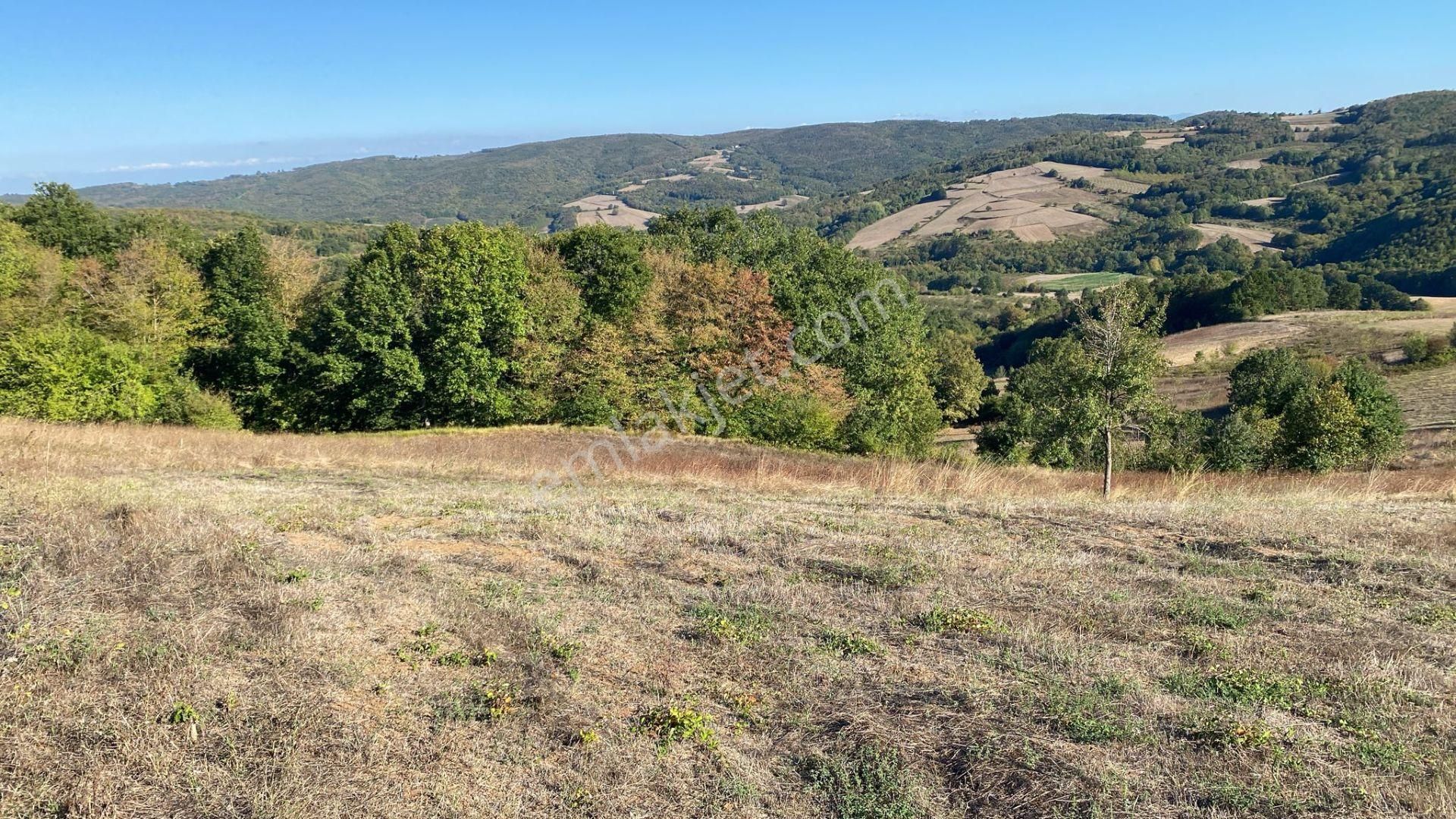 Kandıra Osb Ye Yakın Kupon Tarla - Görsel 3