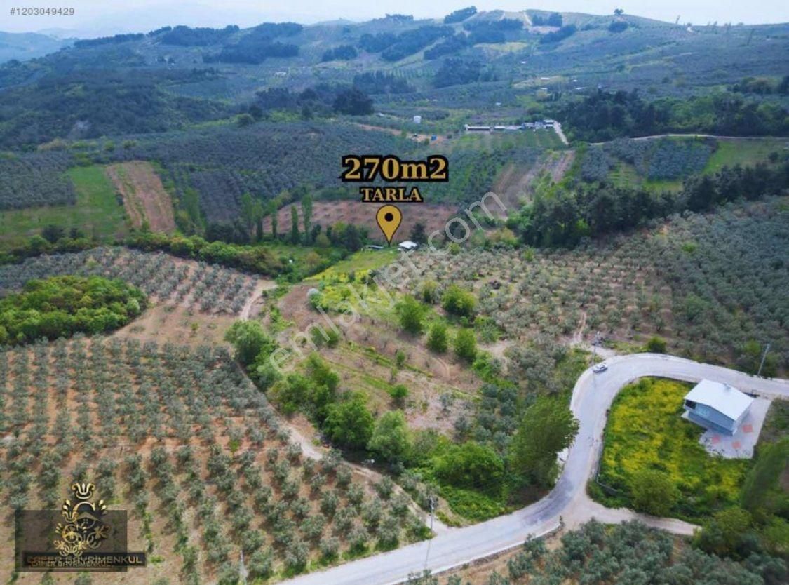 Çepni Köyünde Asfalt Yola 50 Metre Mesafede Tarla Satışta - Görsel 3