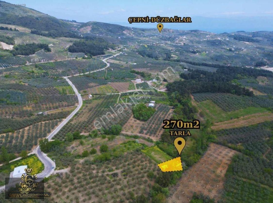 Çepni Köyünde Asfalt Yola 50 Metre Mesafede Tarla Satışta - Görsel 6