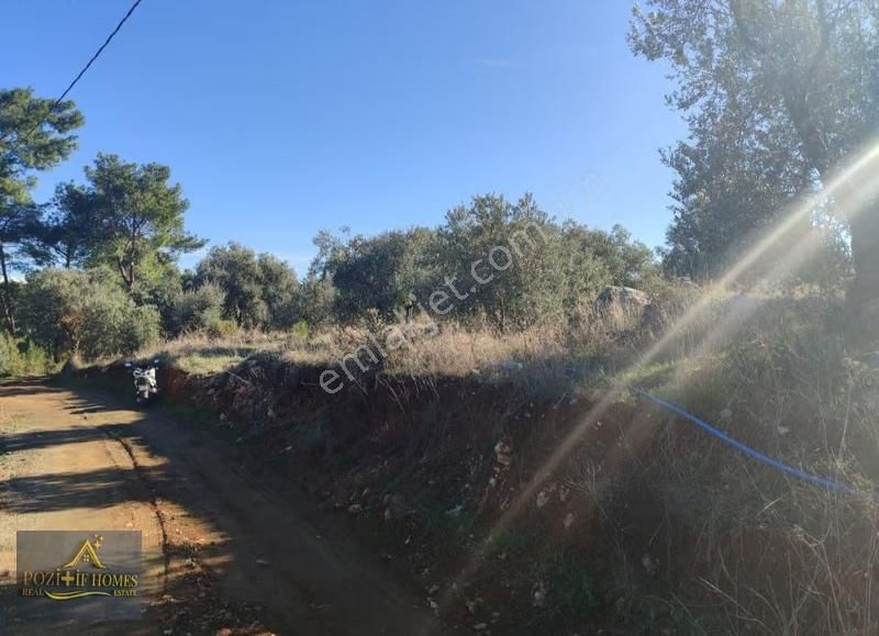 Fethiye Bozyerde Fırsat Arsa ( Zeytinlik ) - Görsel 2