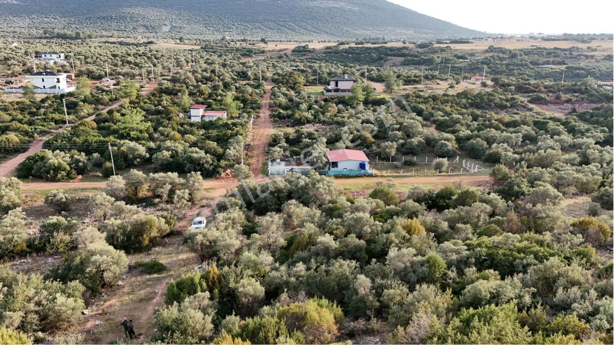 Didim Kardelen Mevki De Satılık Uygun Arsa - Görsel 20