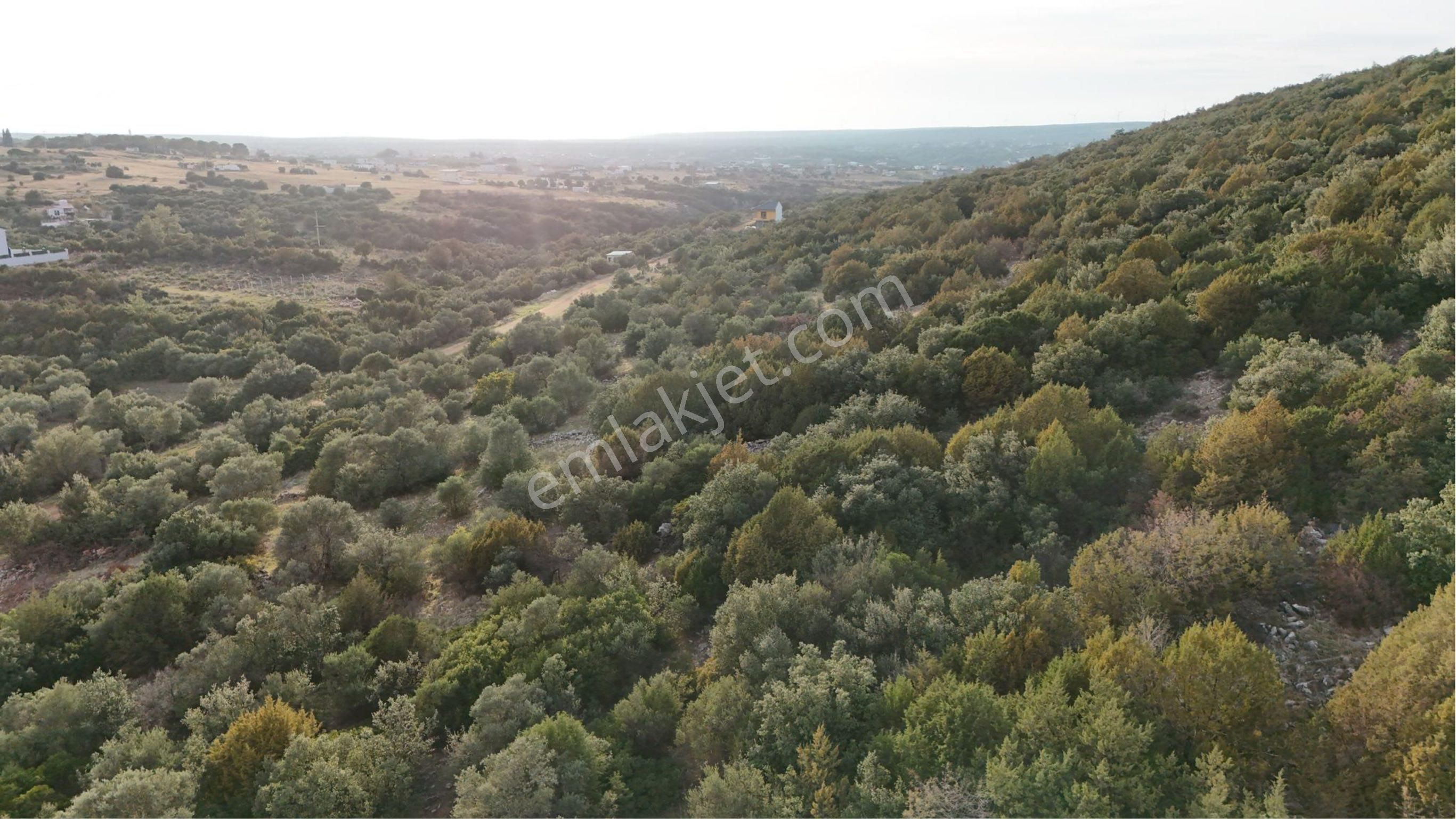 Didim Kardelen Mevki De Satılık Uygun Arsa - Görsel 6