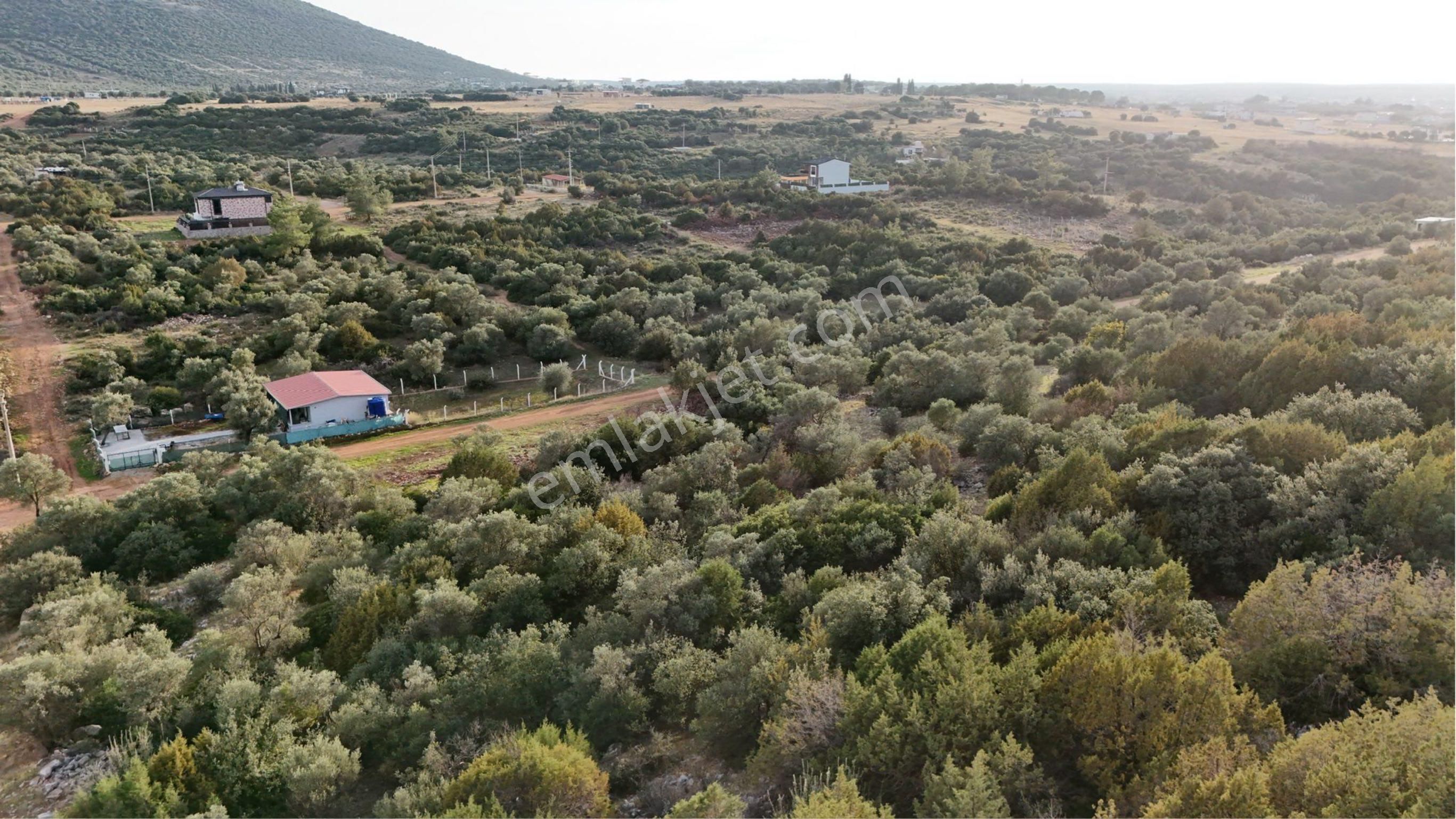Didim Kardelen Mevki De Satılık Uygun Arsa - Görsel 5