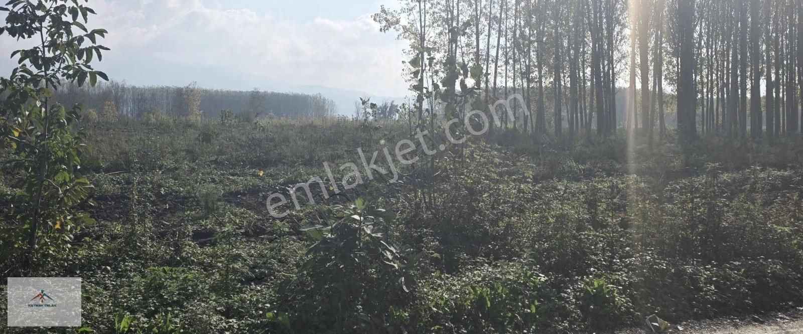 Köye Yakın Elektrik Suya Yakın Hobi Bahçesine Uygun Satılikarazi - Görsel 7