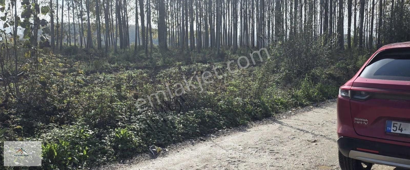 Köye Yakın Elektrik Suya Yakın Hobi Bahçesine Uygun Satılikarazi - Görsel 6