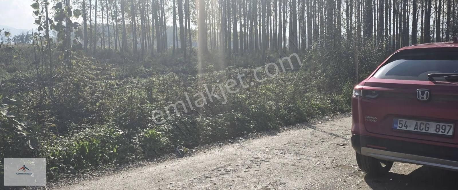 Köye Yakın Elektrik Suya Yakın Hobi Bahçesine Uygun Satılikarazi - Görsel 5