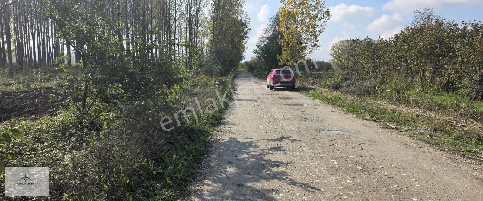 Köye Yakın Elektrik Suya Yakın Hobi Bahçesine Uygun Satılikarazi - Görsel 8