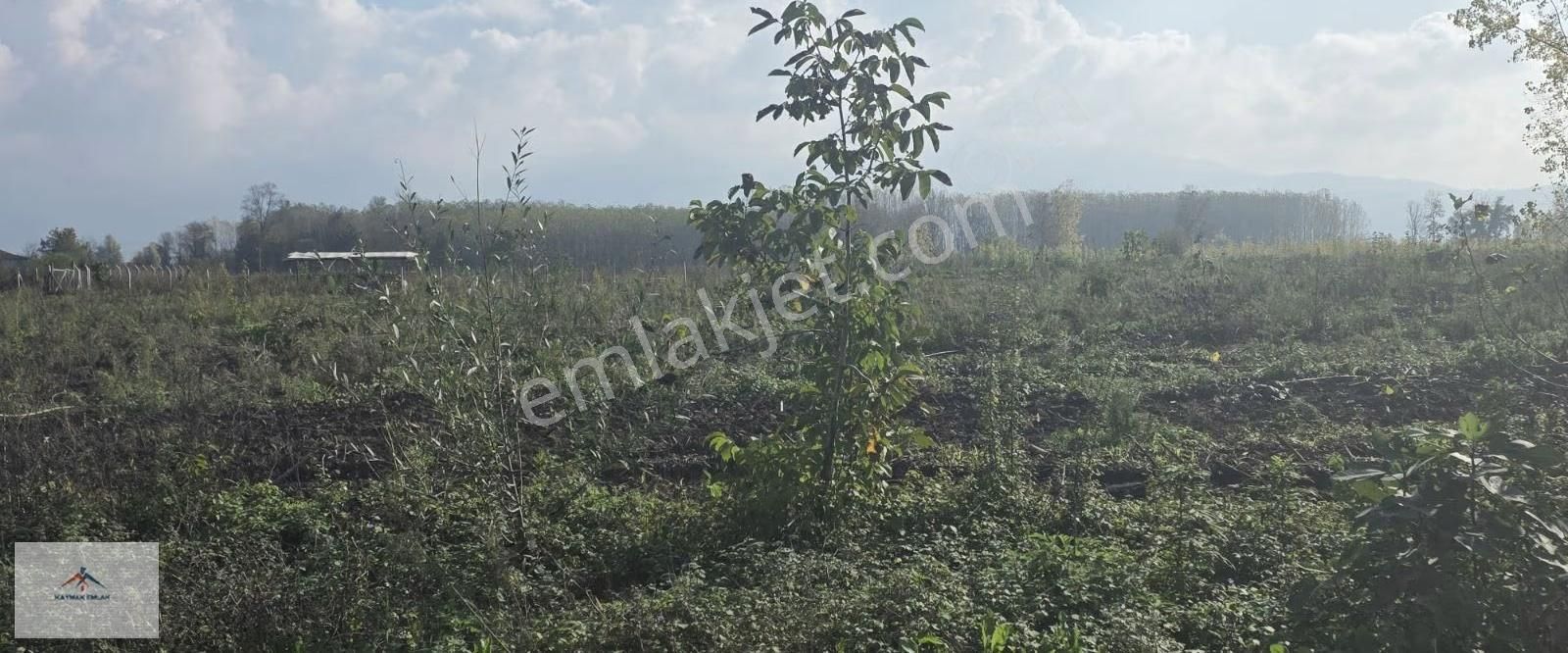 Köye Yakın Elektrik Suya Yakın Hobi Bahçesine Uygun Satılikarazi - Görsel 2