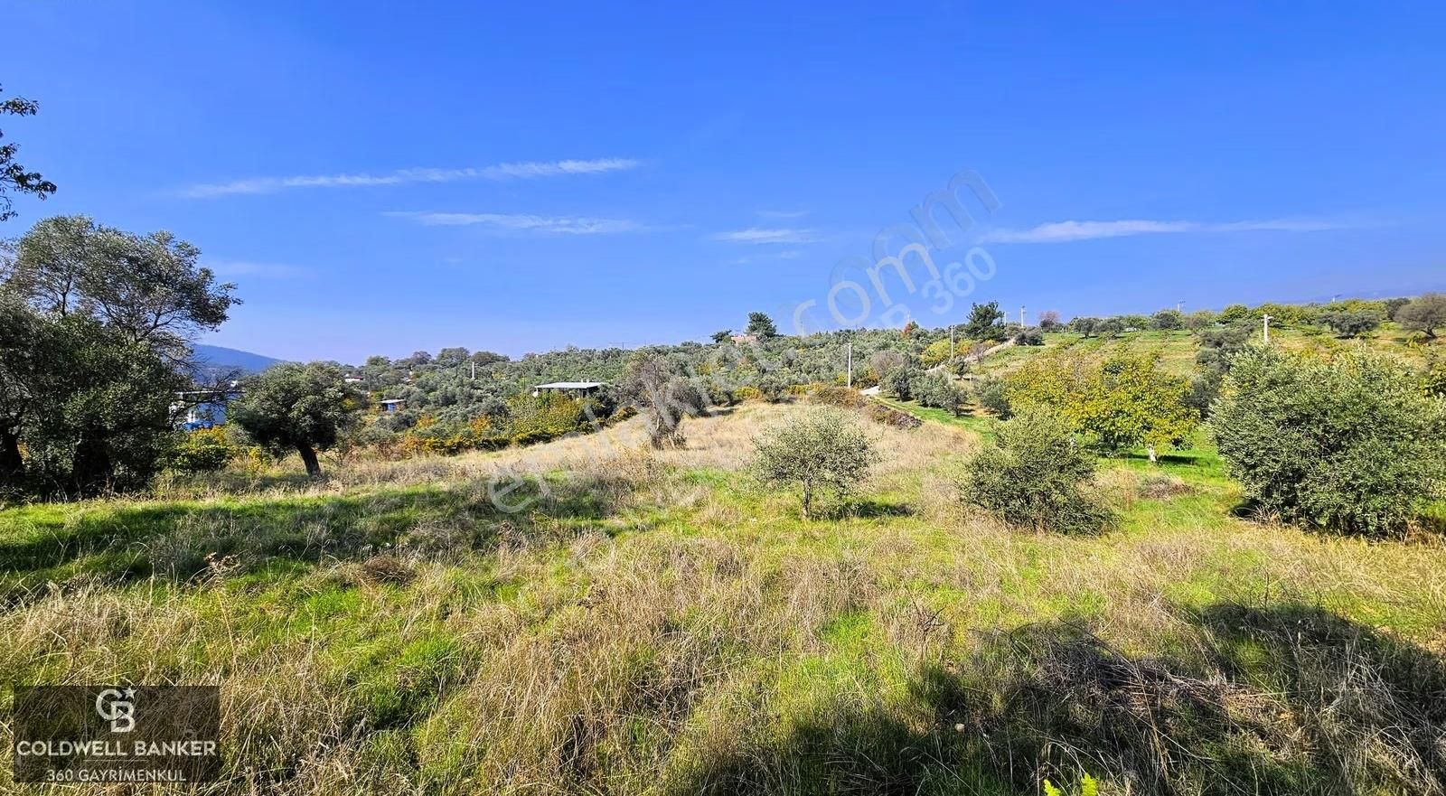 İzmir Buca Doğancılar Köye Yakın Tek Tapu 7168 M2 Satılık Tarla - Görsel 6