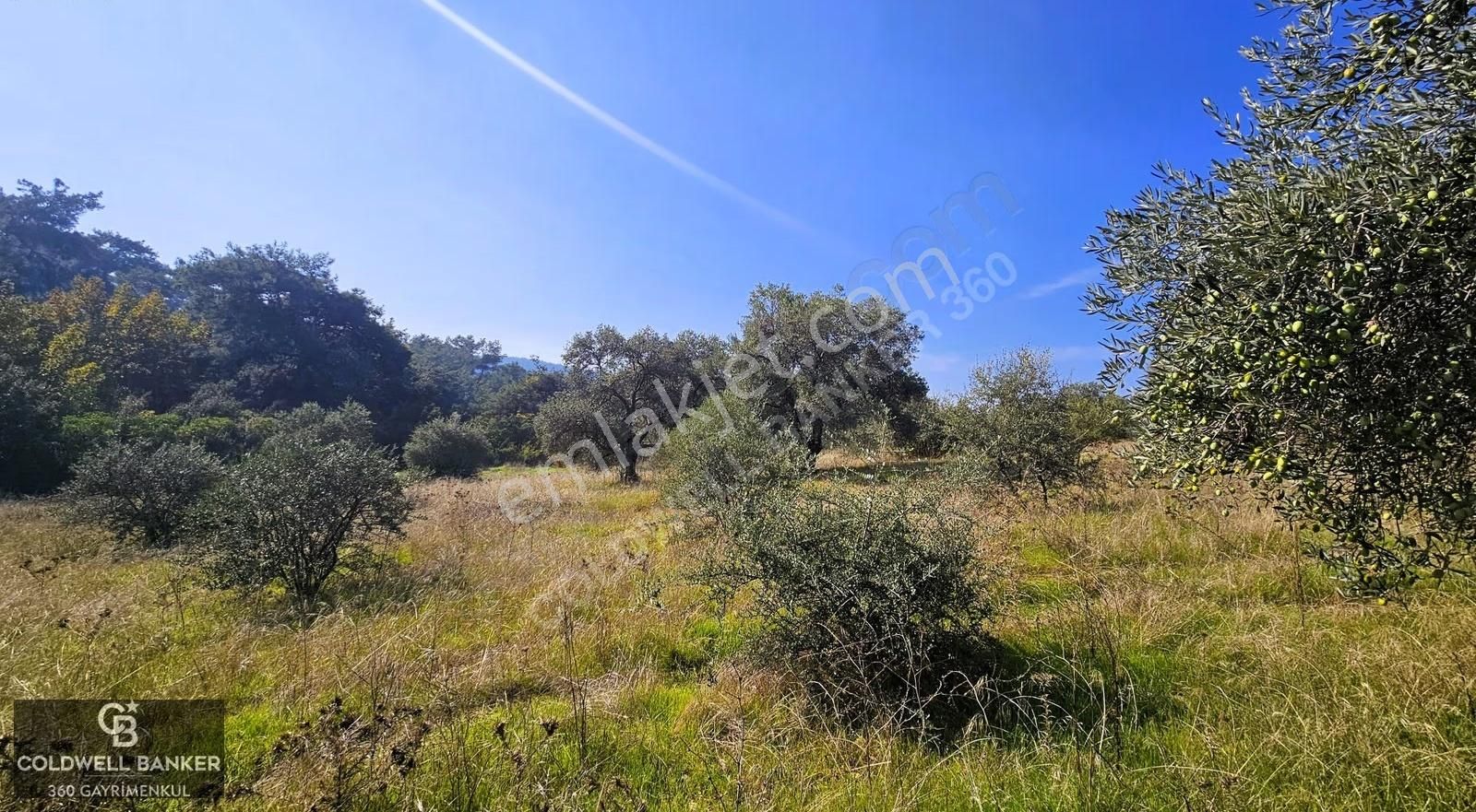 İzmir Buca Doğancılar Köye Yakın Tek Tapu 7168 M2 Satılık Tarla