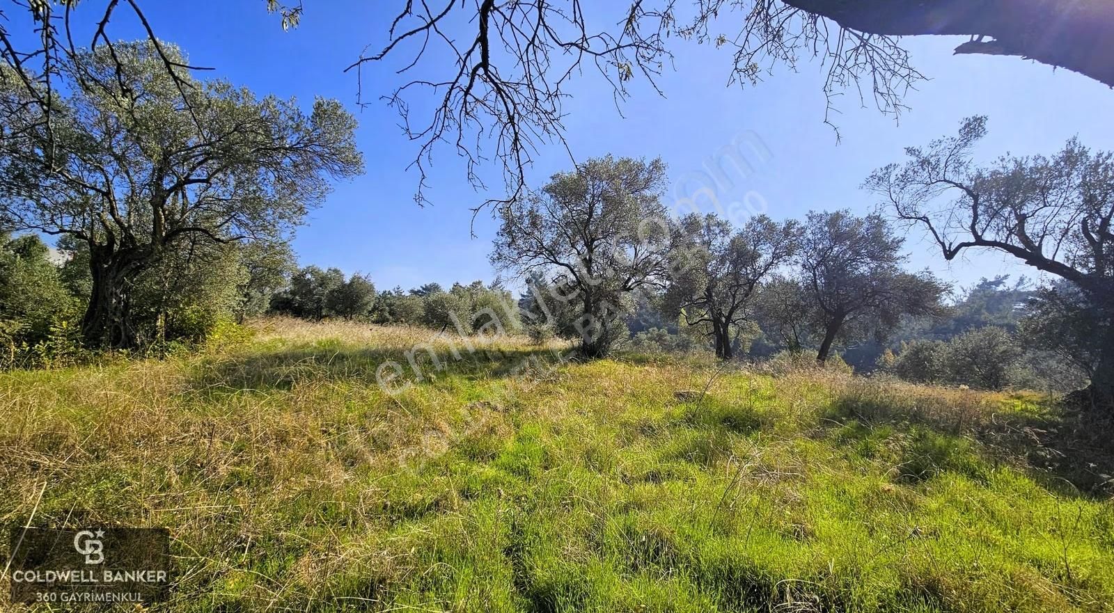 İzmir Buca Doğancılar Köye Yakın Tek Tapu 7168 M2 Satılık Tarla - Görsel 24