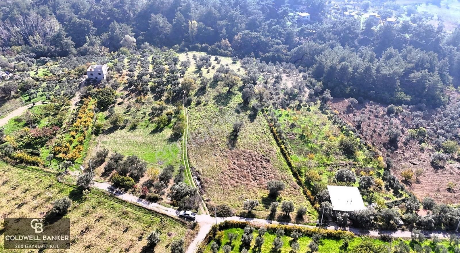 İzmir Buca Doğancılar Köye Yakın Tek Tapu 7168 M2 Satılık Tarla - Görsel 23