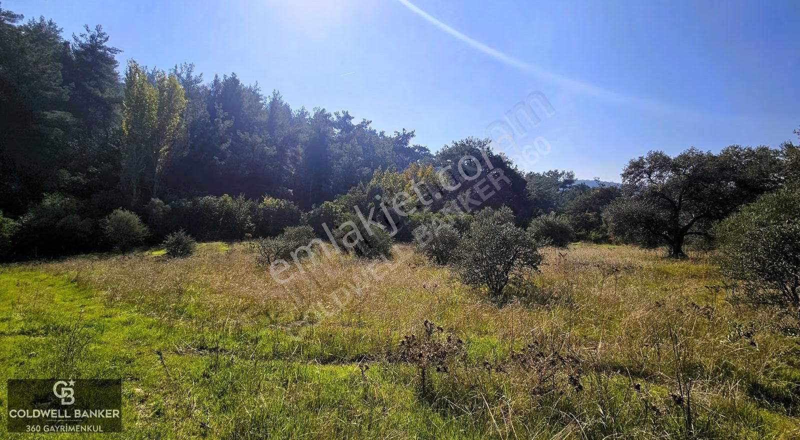 İzmir Buca Doğancılar Köye Yakın Tek Tapu 7168 M2 Satılık Tarla - Görsel 18