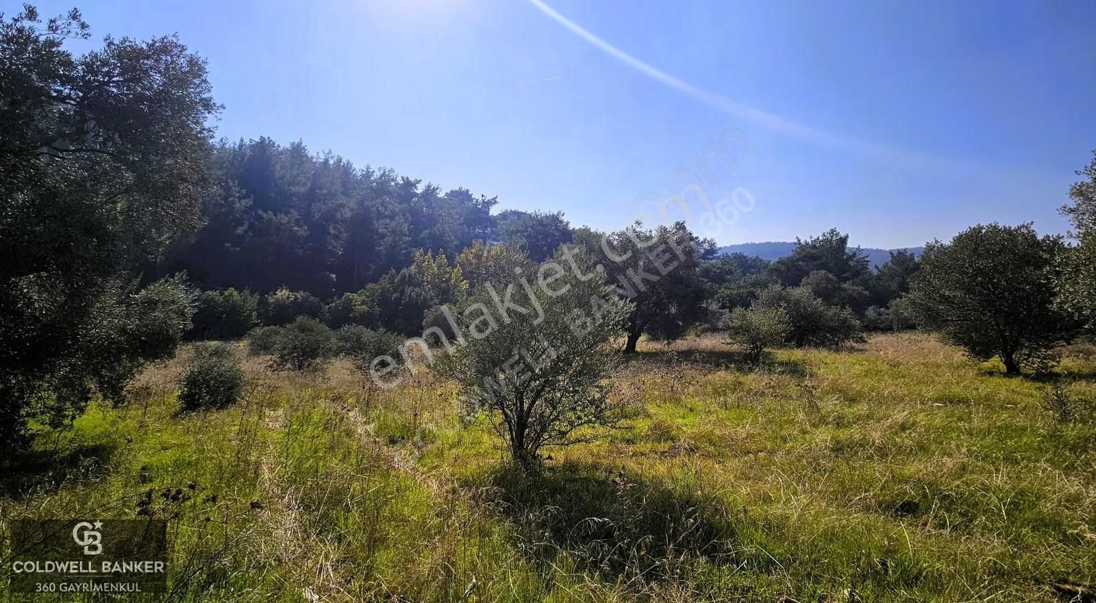 İzmir Buca Doğancılar Köye Yakın Tek Tapu 7168 M2 Satılık Tarla - Görsel 2