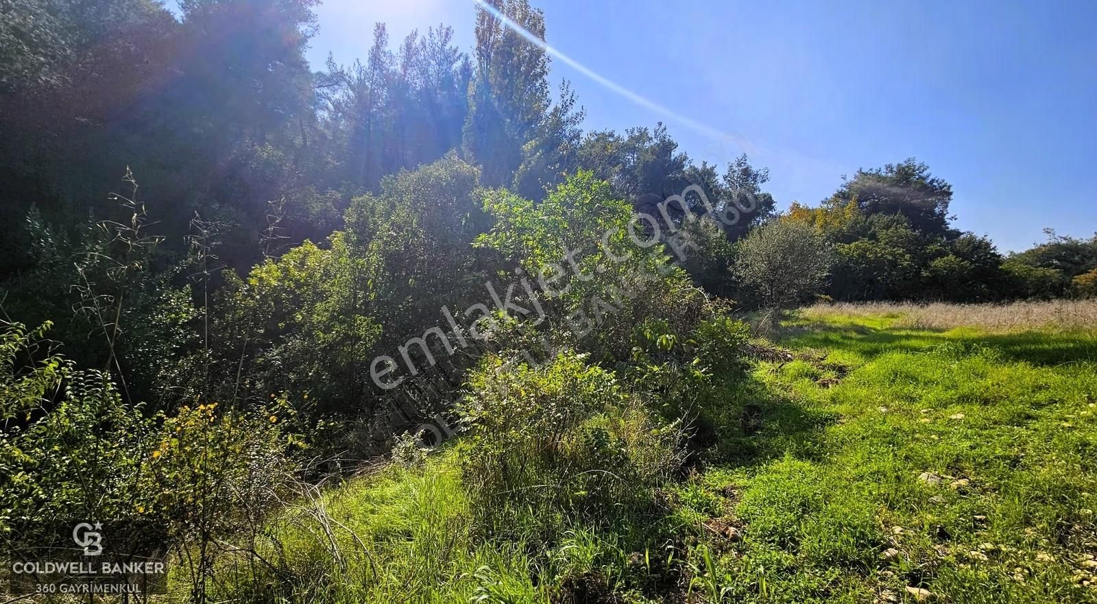 İzmir Buca Doğancılar Köye Yakın Tek Tapu 7168 M2 Satılık Tarla - Görsel 8