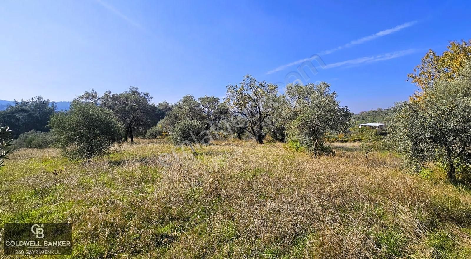 İzmir Buca Doğancılar Köye Yakın Tek Tapu 7168 M2 Satılık Tarla - Görsel 10