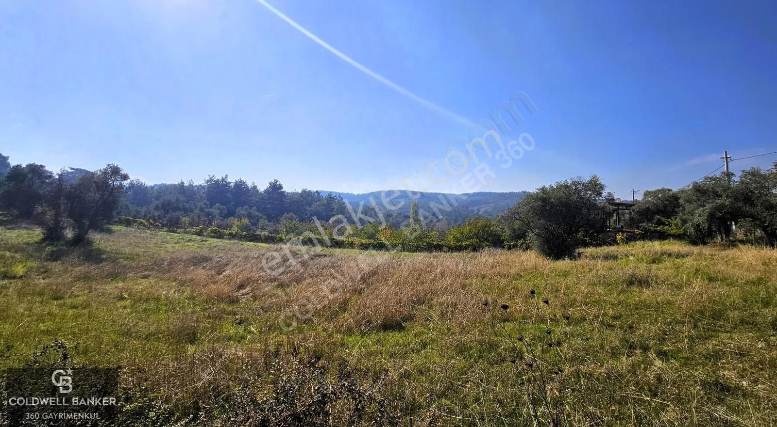 İzmir Buca Doğancılar Köye Yakın Tek Tapu 7168 M2 Satılık Tarla - Görsel 3