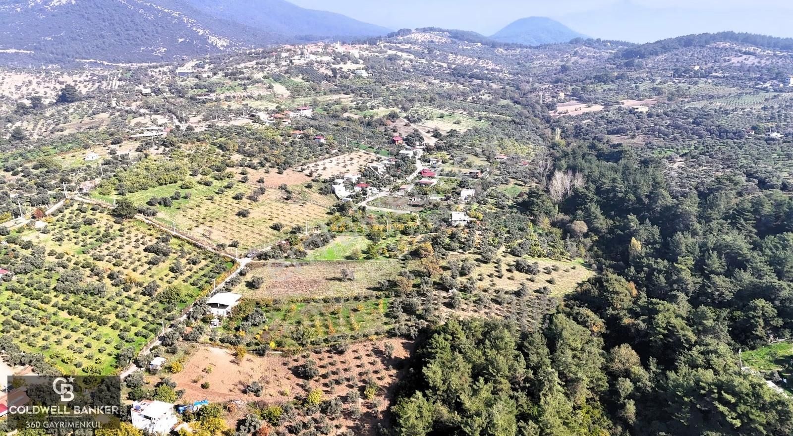 İzmir Buca Doğancılar Köye Yakın Tek Tapu 7168 M2 Satılık Tarla - Görsel 25