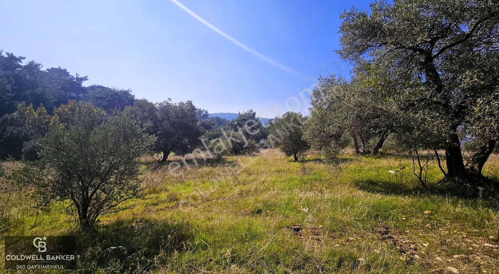 İzmir Buca Doğancılar Köye Yakın Tek Tapu 7168 M2 Satılık Tarla - Görsel 17