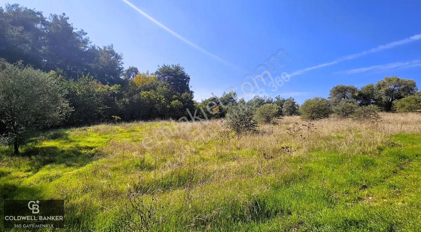 İzmir Buca Doğancılar Köye Yakın Tek Tapu 7168 M2 Satılık Tarla - Görsel 28