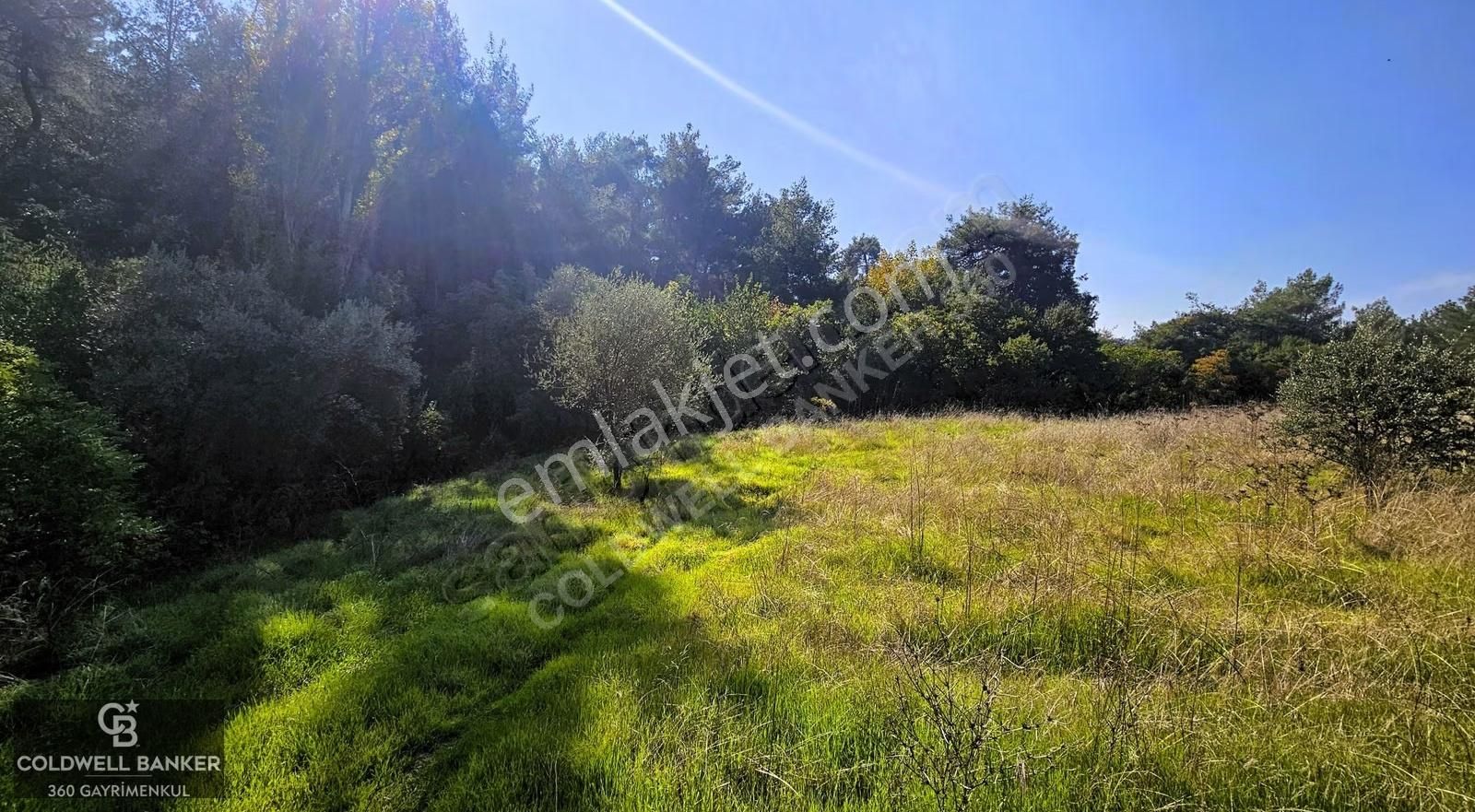 İzmir Buca Doğancılar Köye Yakın Tek Tapu 7168 M2 Satılık Tarla - Görsel 14